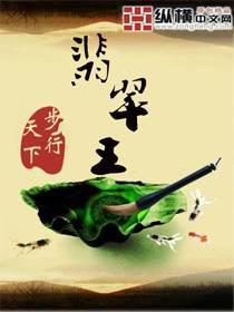翡翠王朝杨牧仁