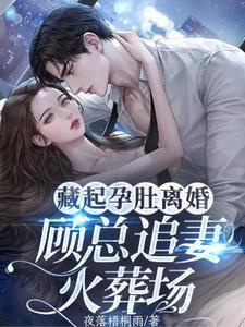 顾总追妻火葬场!夜落梧