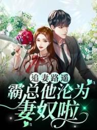 霸总裁追妻路漫漫免费阅读