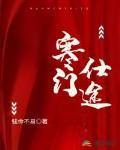 寒门仕途的作者介绍