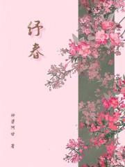 纾春by神婆阿甘书评