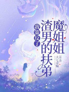 我策反了女主她弟全文免费