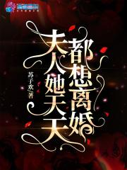 夫人她天天都想离婚萧夜白墨唯一