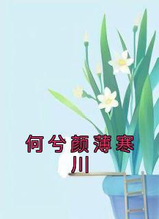 何瑶薄城
