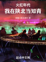 火红年代我在陕北当知青最新