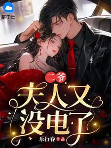 二爷夫人又没电了简介