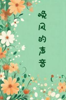 晚风的声音 王菲