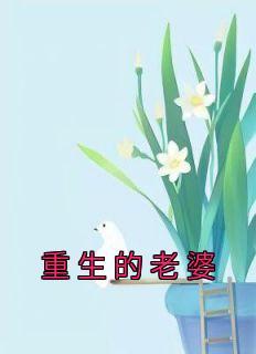 重生老婆没有奶抱女儿跳河