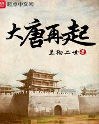 大唐再起txt百度