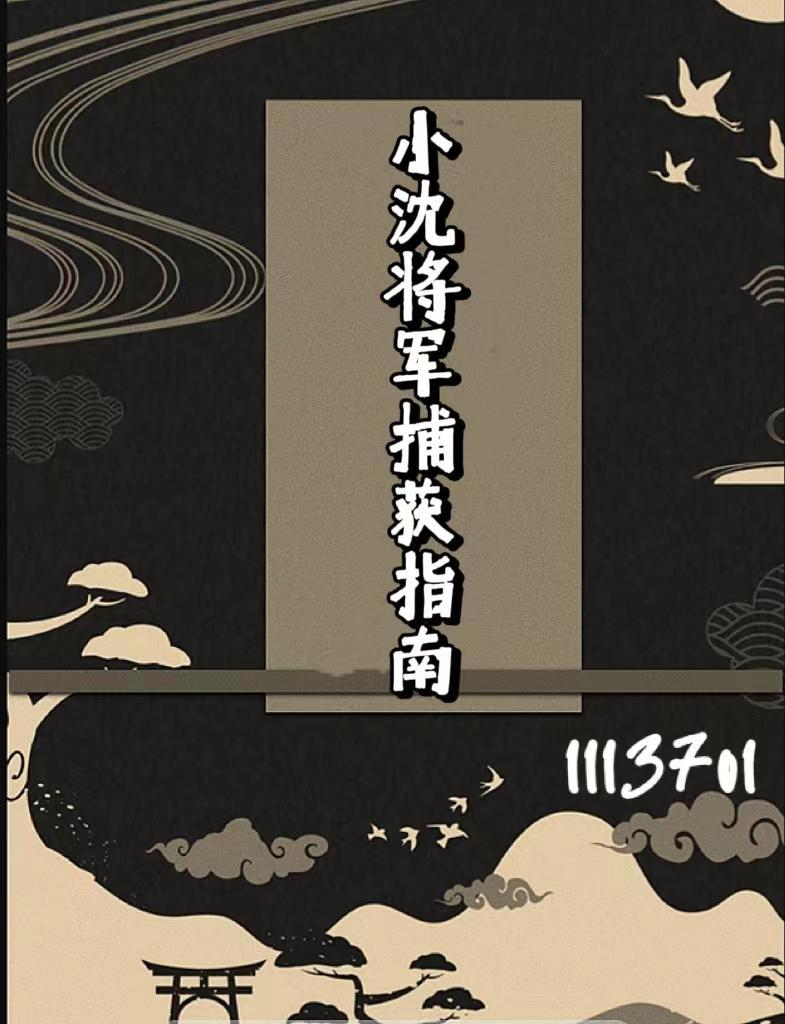 小沈将军捕获指南TXT免费资源