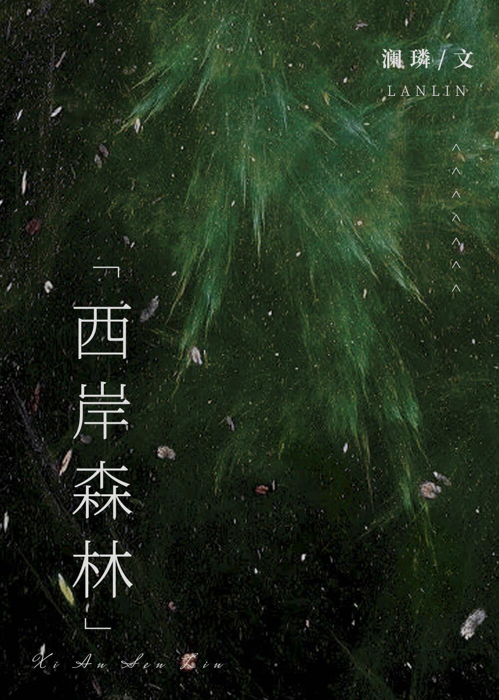 西岸森林澜璘晋江