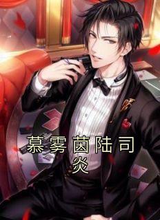 陆司夜慕然