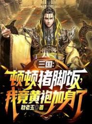 三国顿顿猪脚饭