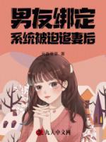 双总裁被迫绑定系统后