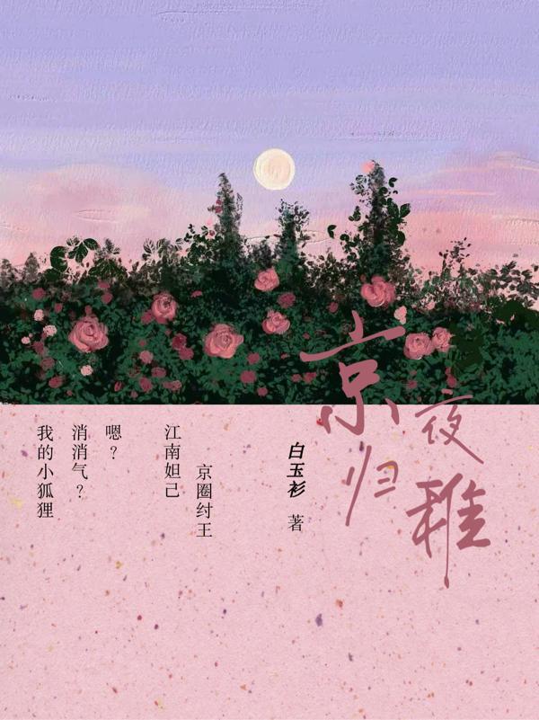 京夜归稚第二部叫啥