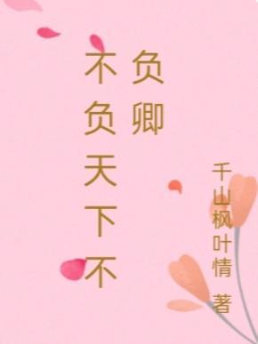 不负天下的意思