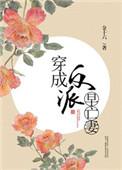 穿成反派早亡妻讲的什么