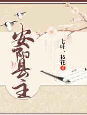 安阳县主要领导分工