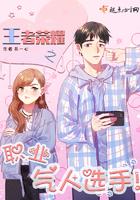 王者荣耀之职业高手