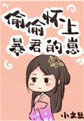 偷偷怀上暴君的崽 小文旦