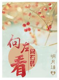 向右转明月珰书评
