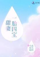 甜妻一胎双宝免费阅读