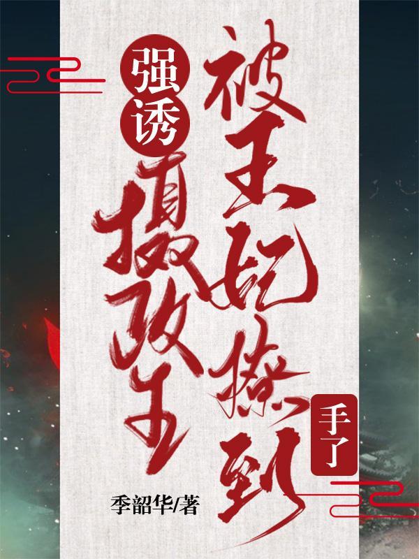 摄政王强皇上