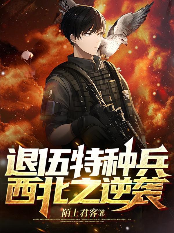 退役的特种兵