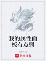 属性面板包括