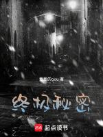 终极秘密系列