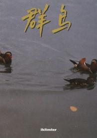 群鸟飞过湖面动静结合100字