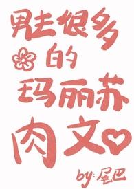 玛丽苏描写男主