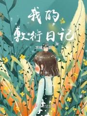 敷衍我怎么读