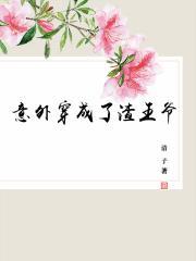 意外穿成了渣王爷txt