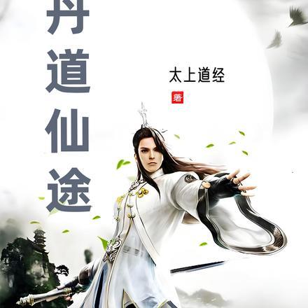 丹道仙途作者太上道经