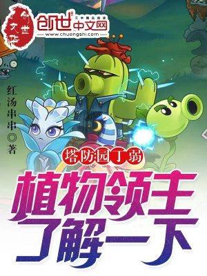 植物塔防战僵尸攻略