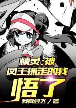 宠物小精灵 凤王