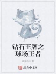 绝世赢家作者马小虎简介