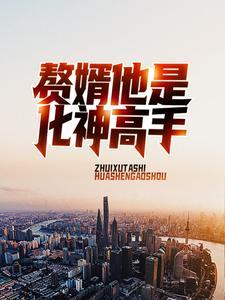 赘婿他是化神高手免费阅读