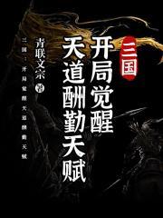 三国开局觉醒天道酬勤天赋 罗轩