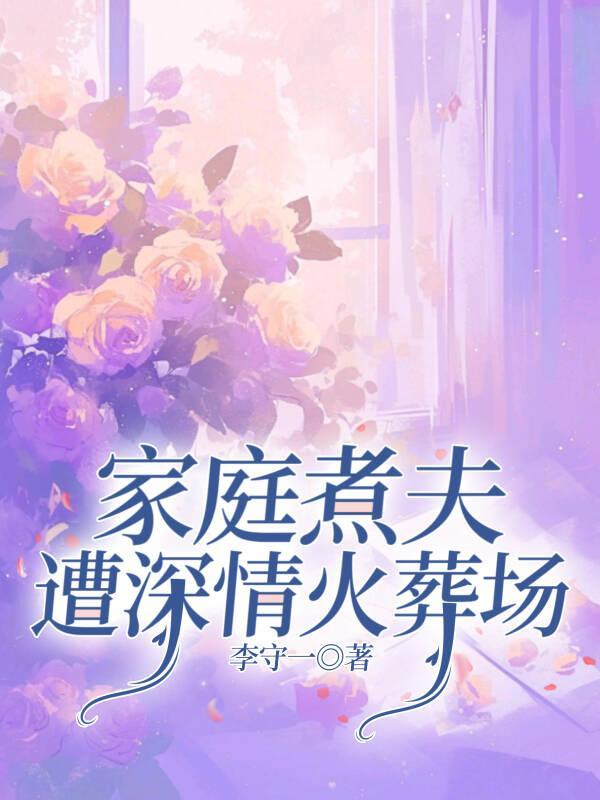 家庭煮夫电视剧