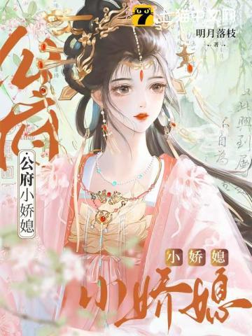公府小娇媳讲的什么