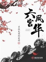 六宫凤华谢明曦免费阅读