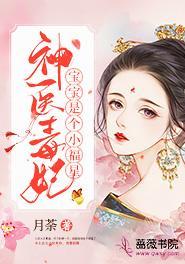 神医毒妃腹黑宝宝又名