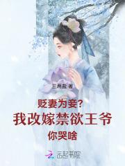 贬妻为妾我改嫁禁欲王爷你哭啥