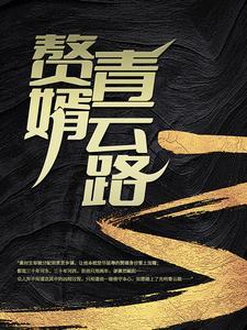 赘婿青云路全文免费阅读无弹窗