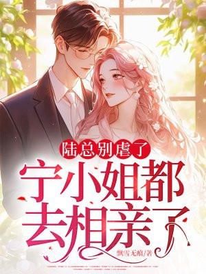 宁小姐都去相亲了免费