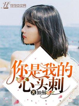 你是我的心头肉下一句