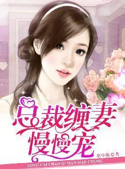总裁缠妻慢慢宠全文阅读