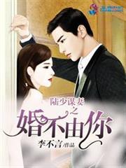 陆少谋妻之婚不由你男女主孩子名字